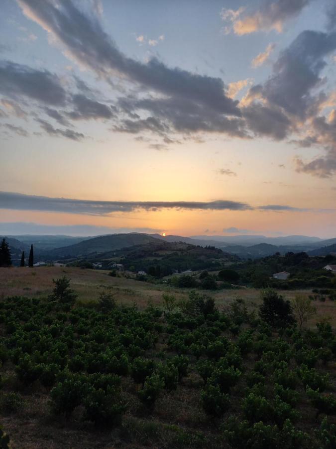 Gite Vigneron Du Domaine D'Alon Magrie Exterior photo