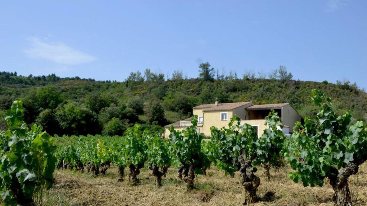 Gite Vigneron Du Domaine D'Alon Magrie Exterior photo